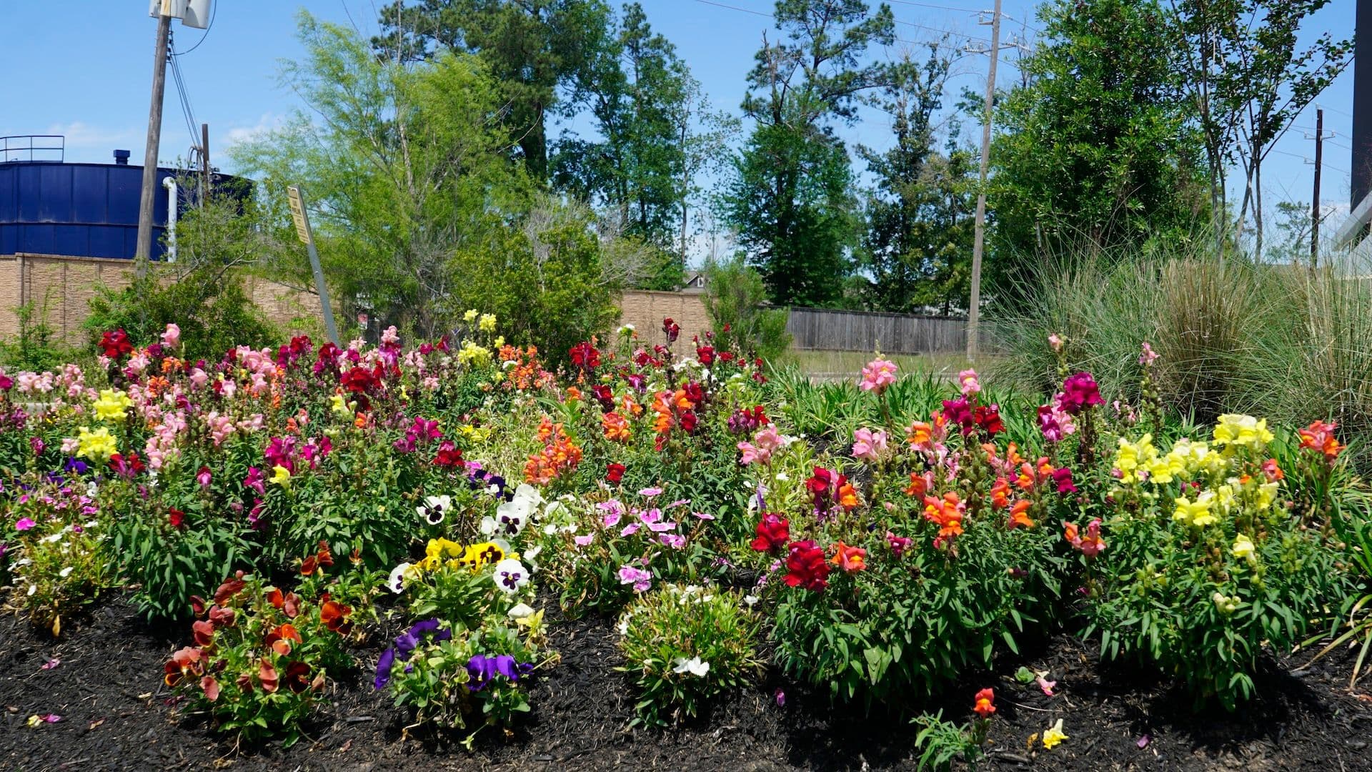 FlowerBeds